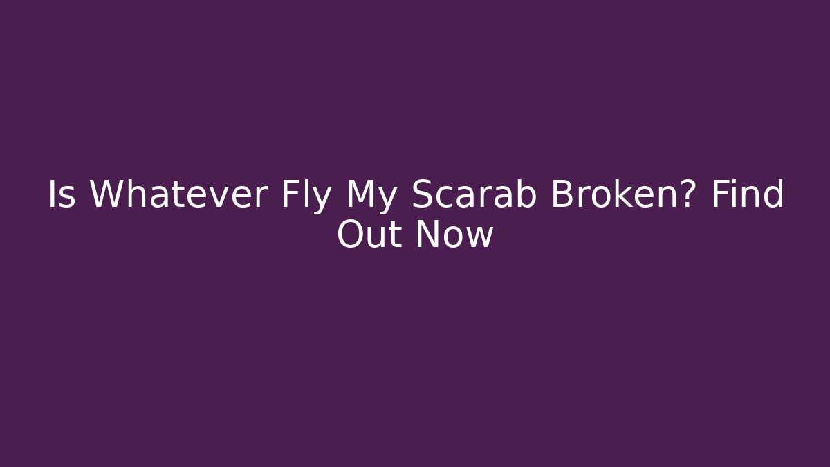 Is Whatever Fly My Scarab Broken? Find Out Now