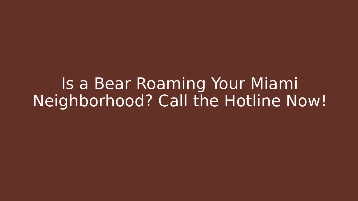Is a Bear Roaming Your Miami Neighborhood? Call the Hotline Now!