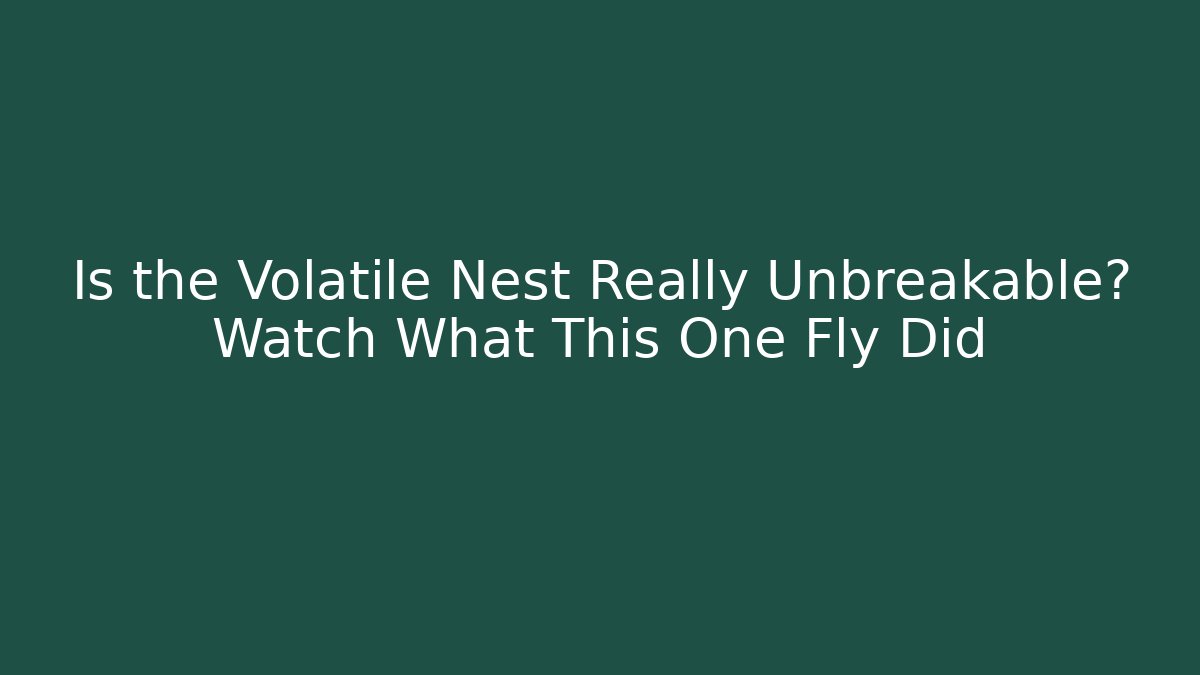 Is the Volatile Nest Really Unbreakable? Watch What This One Fly Did