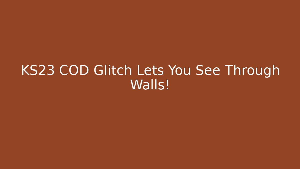 KS23 COD Glitch Lets You See Through Walls!