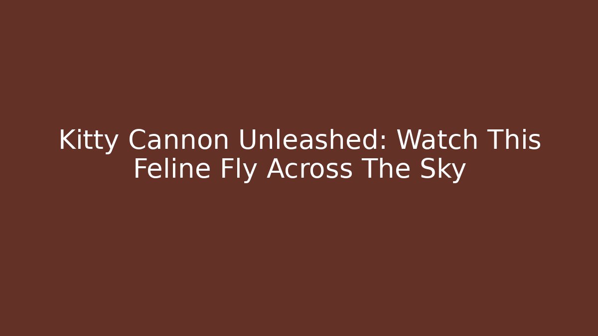 Kitty Cannon Unleashed: Watch This Feline Fly Across The Sky