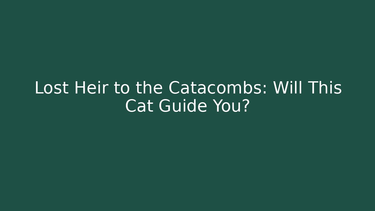 Lost Heir to the Catacombs: Will This Cat Guide You?