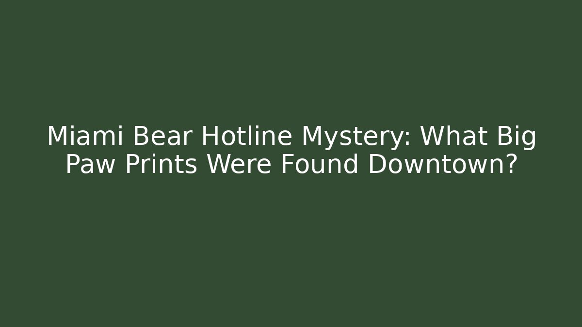 Miami Bear Hotline Mystery: What Big Paw Prints Were Found Downtown?