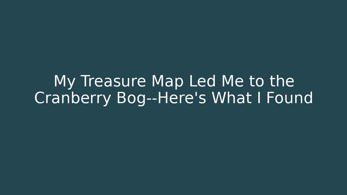 My Treasure Map Led Me to the Cranberry Bog—Here's What I Found