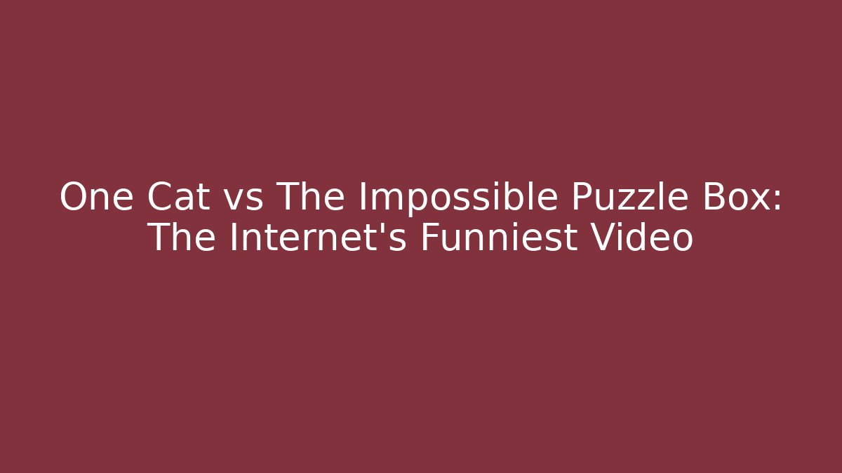 One Cat vs The Impossible Puzzle Box: The Internet's Funniest Video