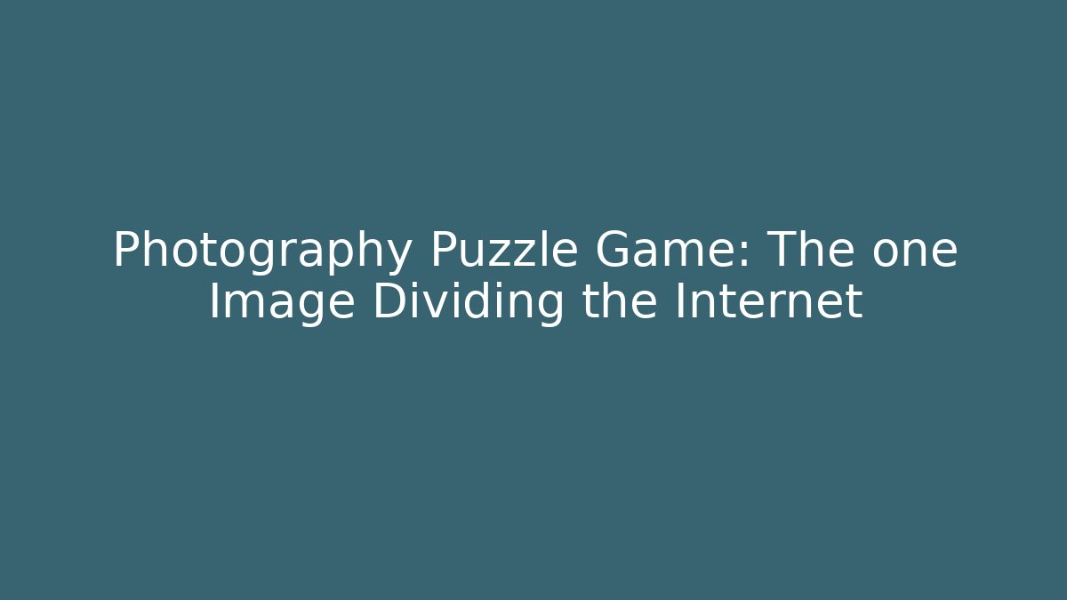 Photography Puzzle Game: The one Image Dividing the Internet