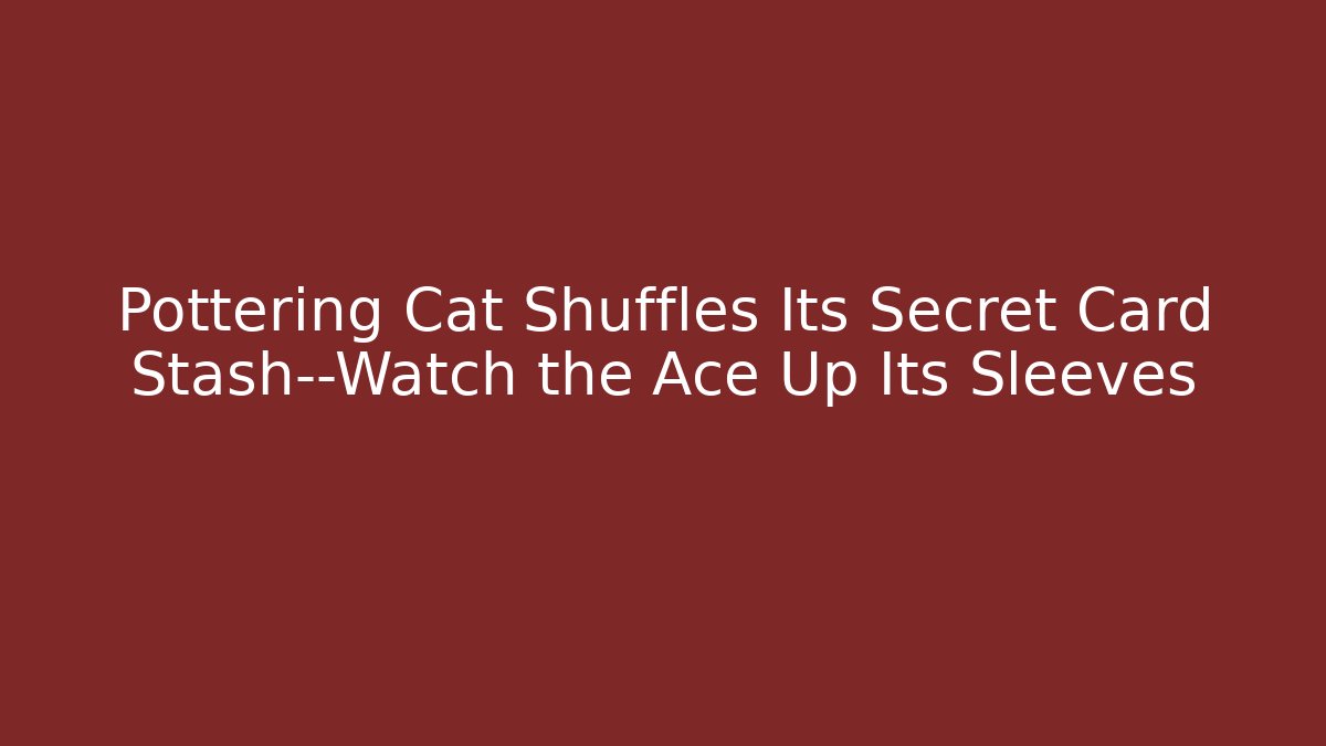 Pottering Cat Shuffles Its Secret Card Stash—Watch the Ace Up Its Sleeves