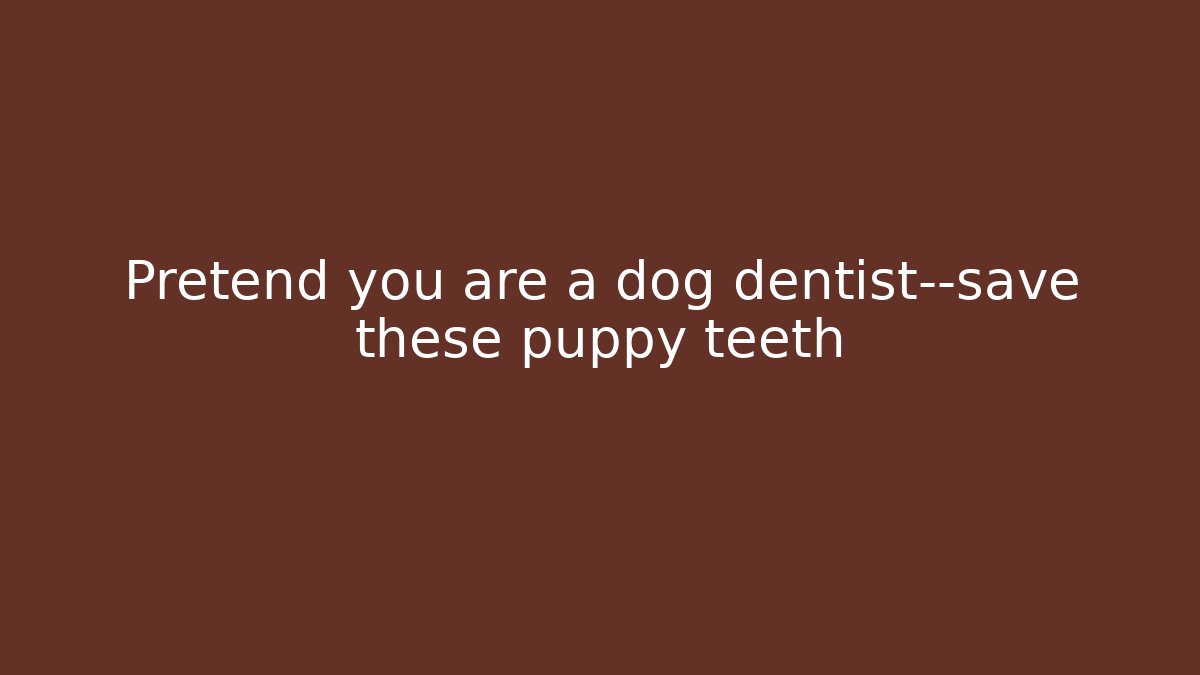 Pretend you are a dog dentist—save these puppy teeth