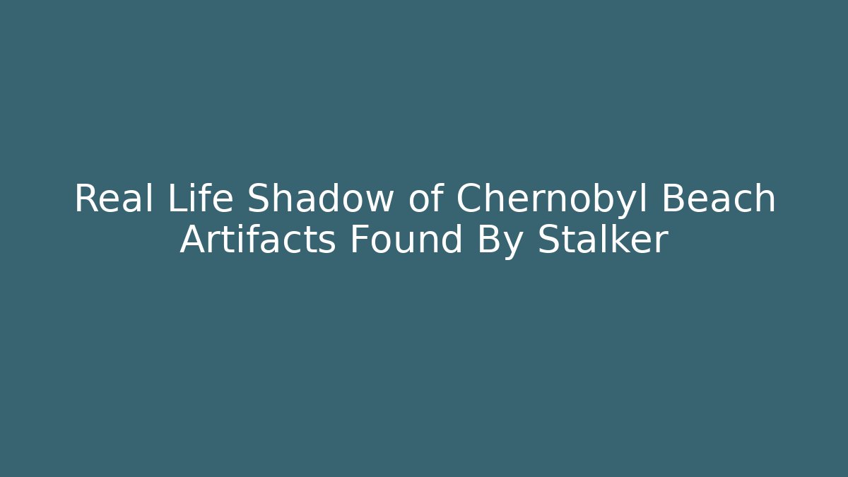 Real Life Shadow of Chernobyl Beach Artifacts Found By Stalker