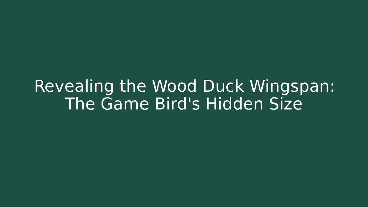 Revealing the Wood Duck Wingspan: The Game Bird’s Hidden Size