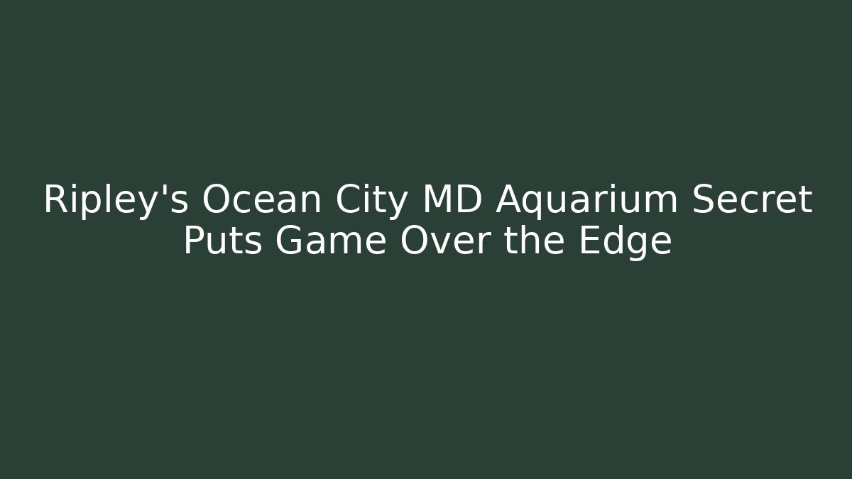 Ripley's Ocean City MD Aquarium Secret Puts Game Over the Edge