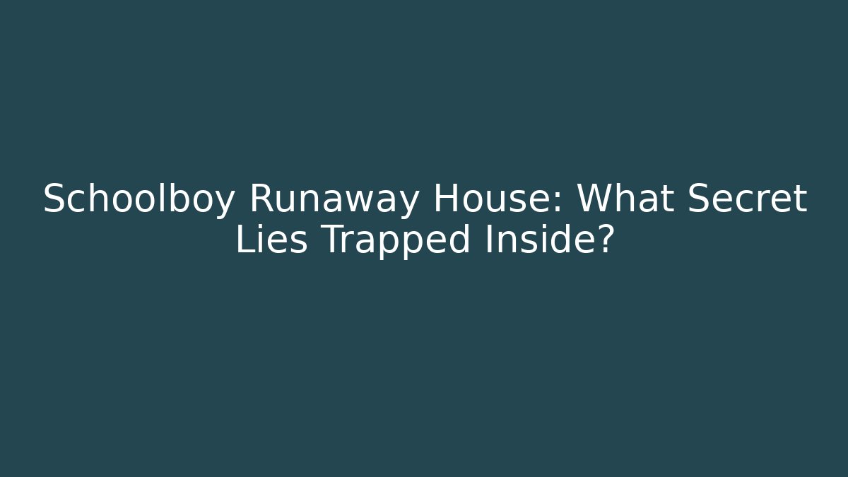 Schoolboy Runaway House: What Secret Lies Trapped Inside? - Vintage E-Juice