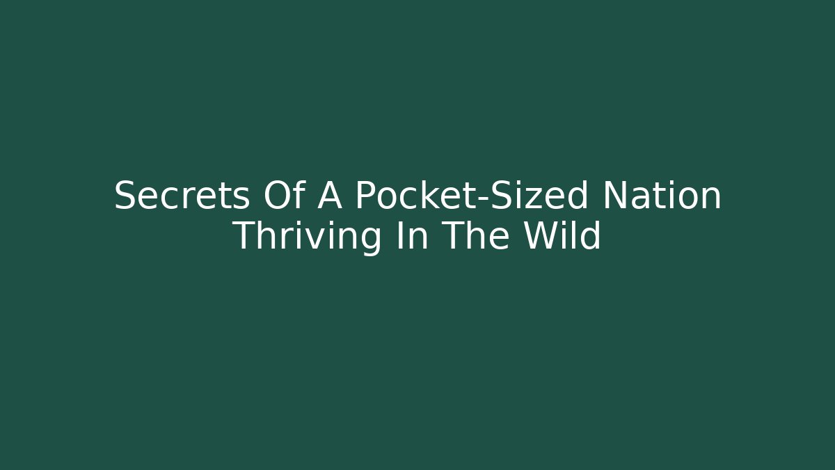 Secrets Of A Pocket-Sized Nation Thriving In The Wild