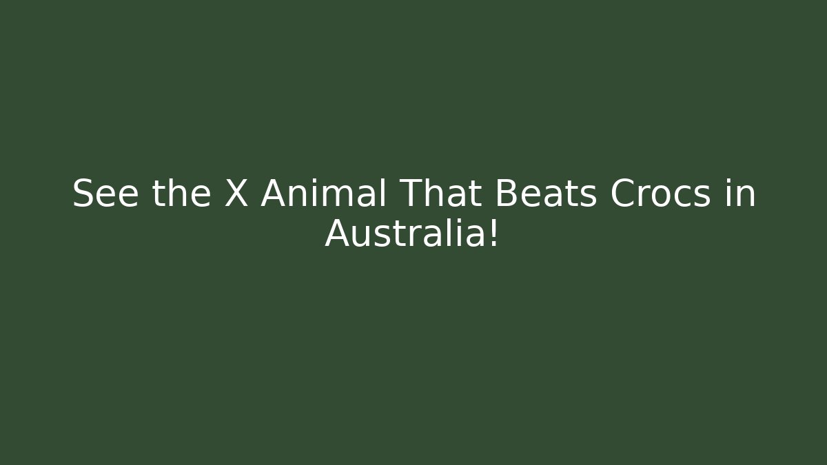 See the X Animal That Beats Crocs in Australia!