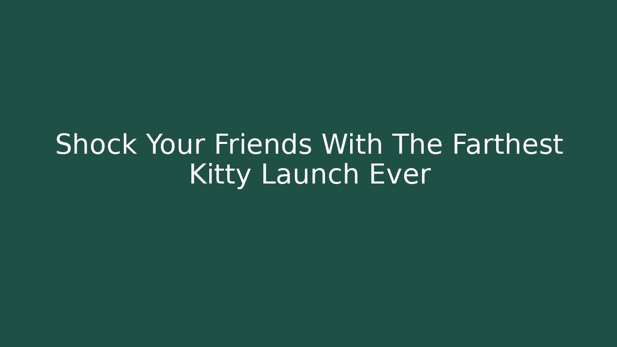 Shock Your Friends With The Farthest Kitty Launch Ever