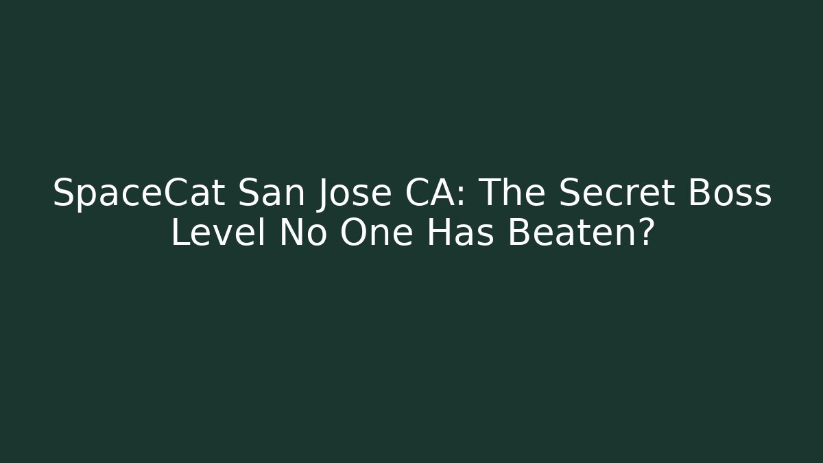 SpaceCat San Jose CA: The Secret Boss Level No One Has Beaten?