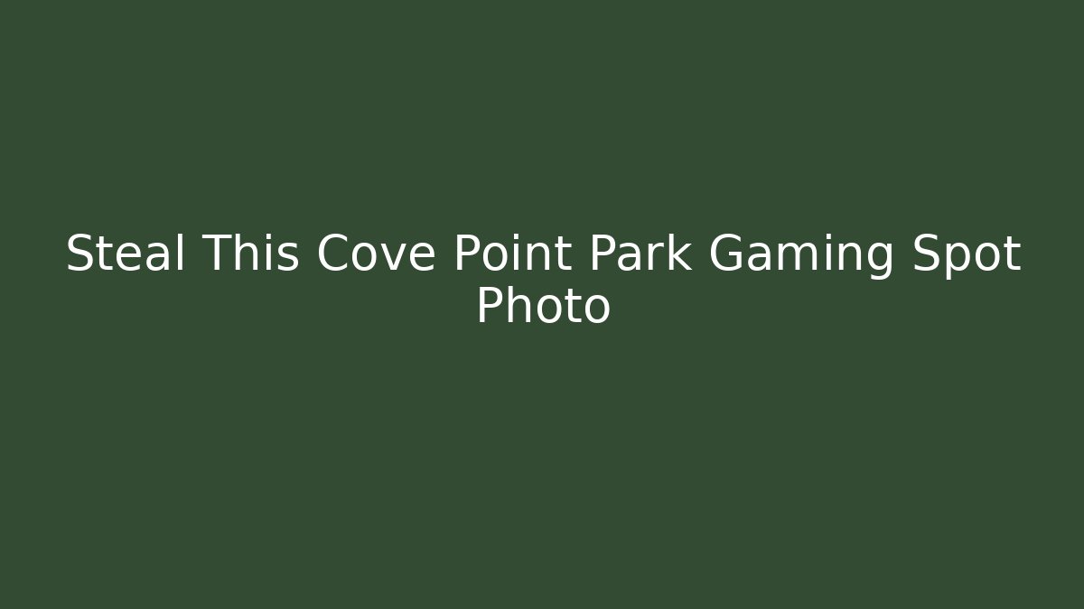 Steal This Cove Point Park Gaming Spot Photo