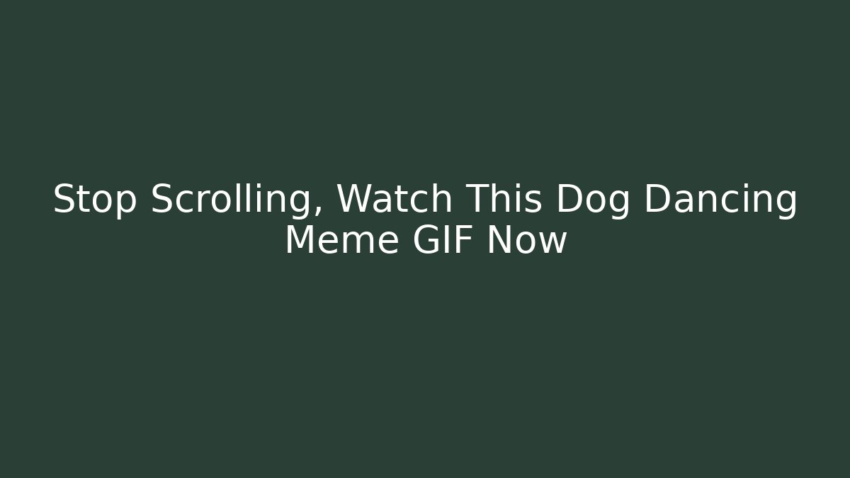 Stop Scrolling, Watch This Dog Dancing Meme GIF Now