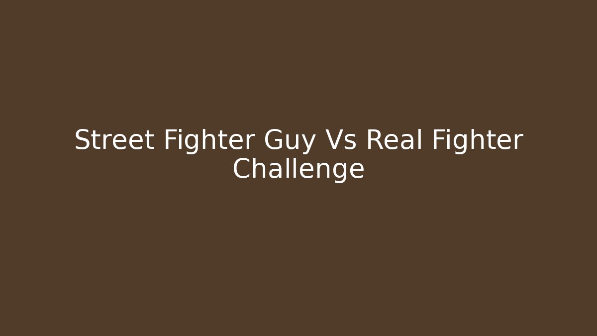 Street Fighter Guy Vs Real Fighter Challenge