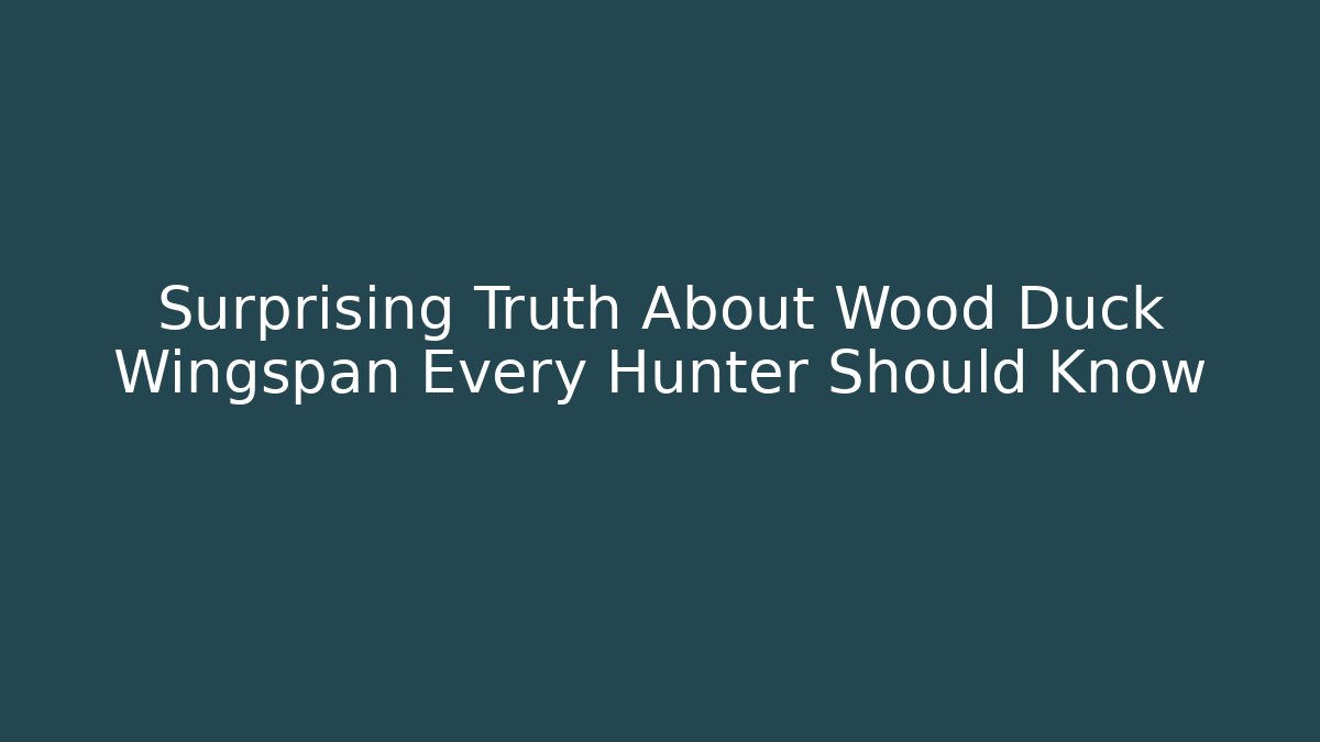 Surprising Truth About Wood Duck Wingspan Every Hunter Should Know