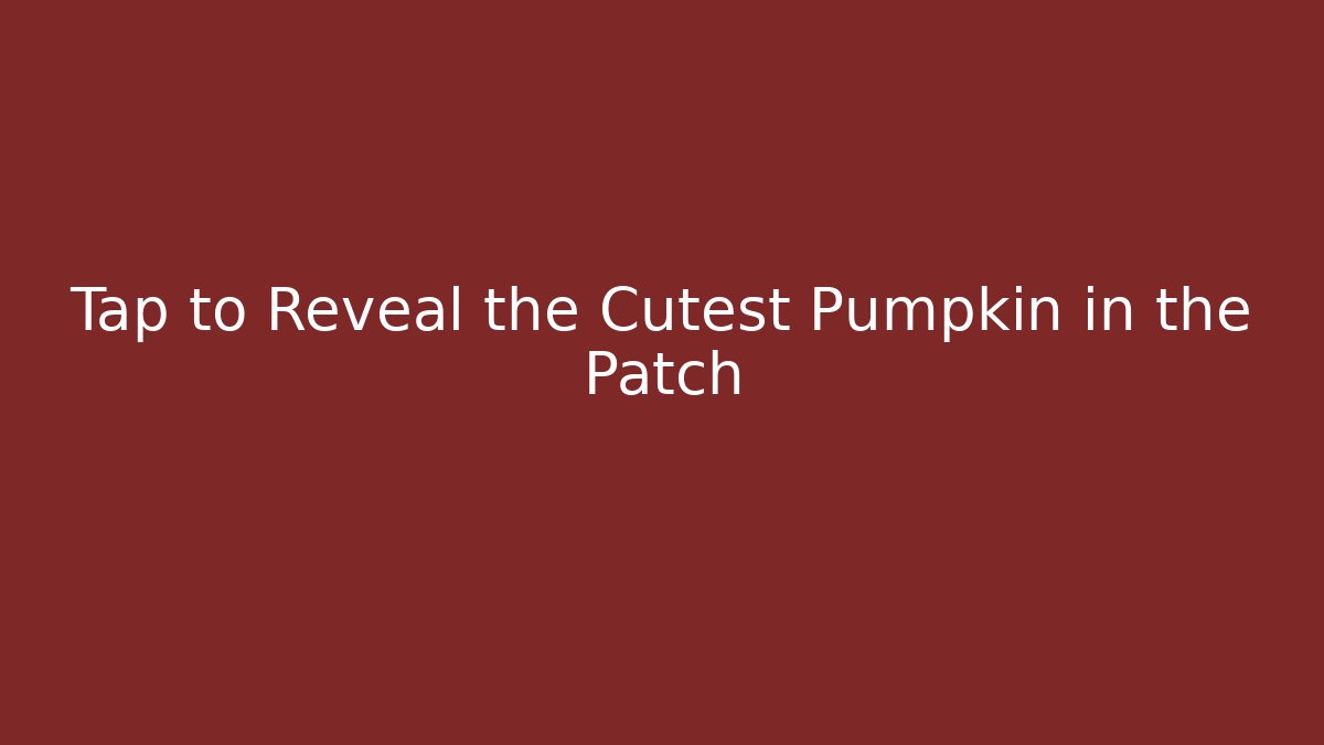 Tap to Reveal the Cutest Pumpkin in the Patch