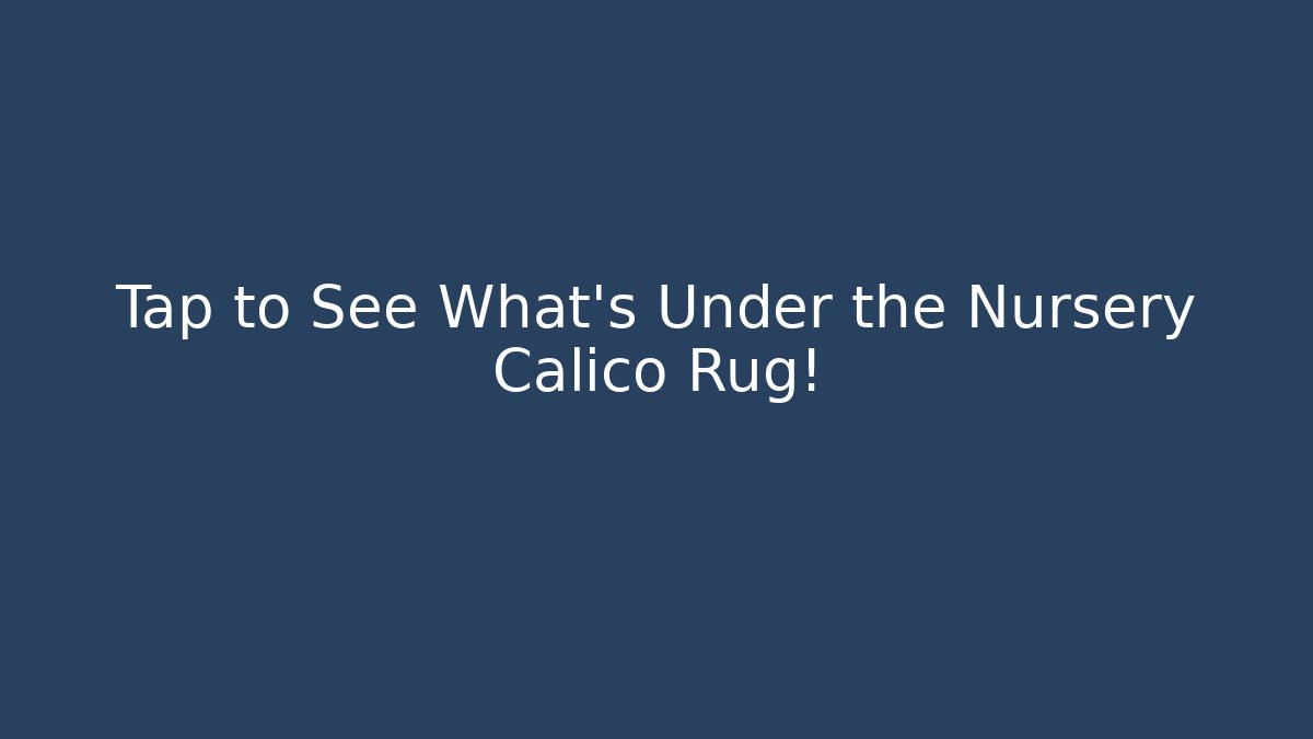 Tap to See What’s Under the Nursery Calico Rug!