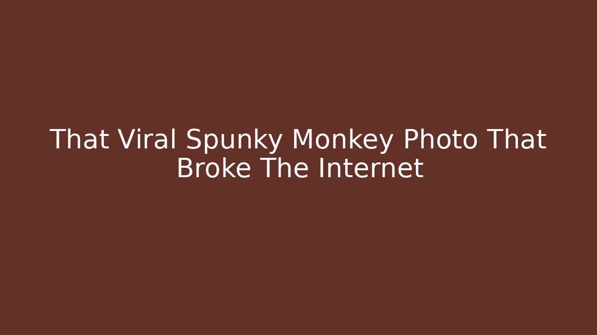 That Viral Spunky Monkey Photo That Broke The Internet