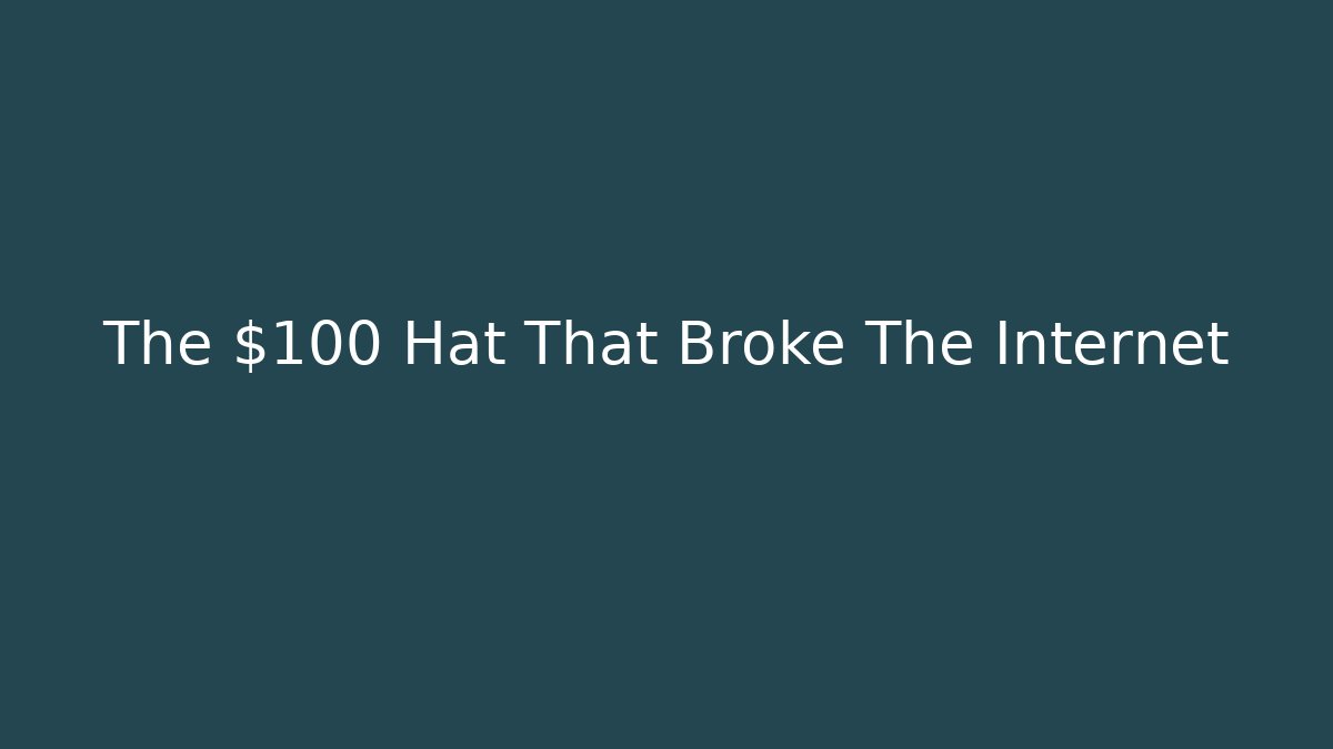 The $100 Hat That Broke The Internet