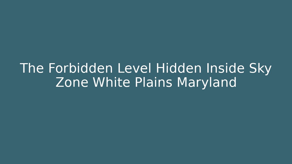 The Forbidden Level Hidden Inside Sky Zone White Plains Maryland - Vintage E-Juice