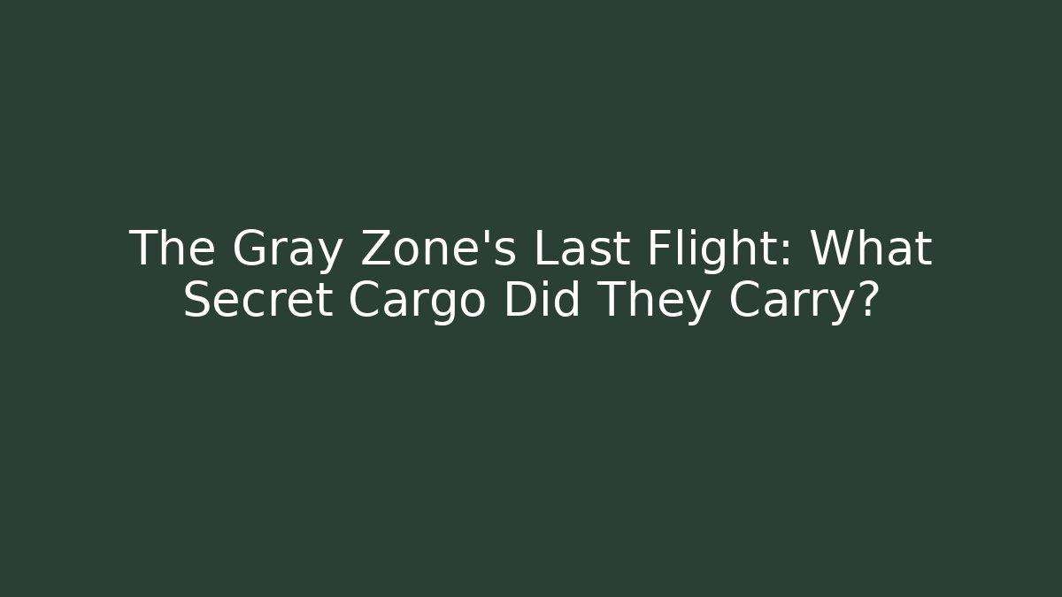 The Gray Zone's Last Flight: What Secret Cargo Did They Carry? - Vintage E-Juice