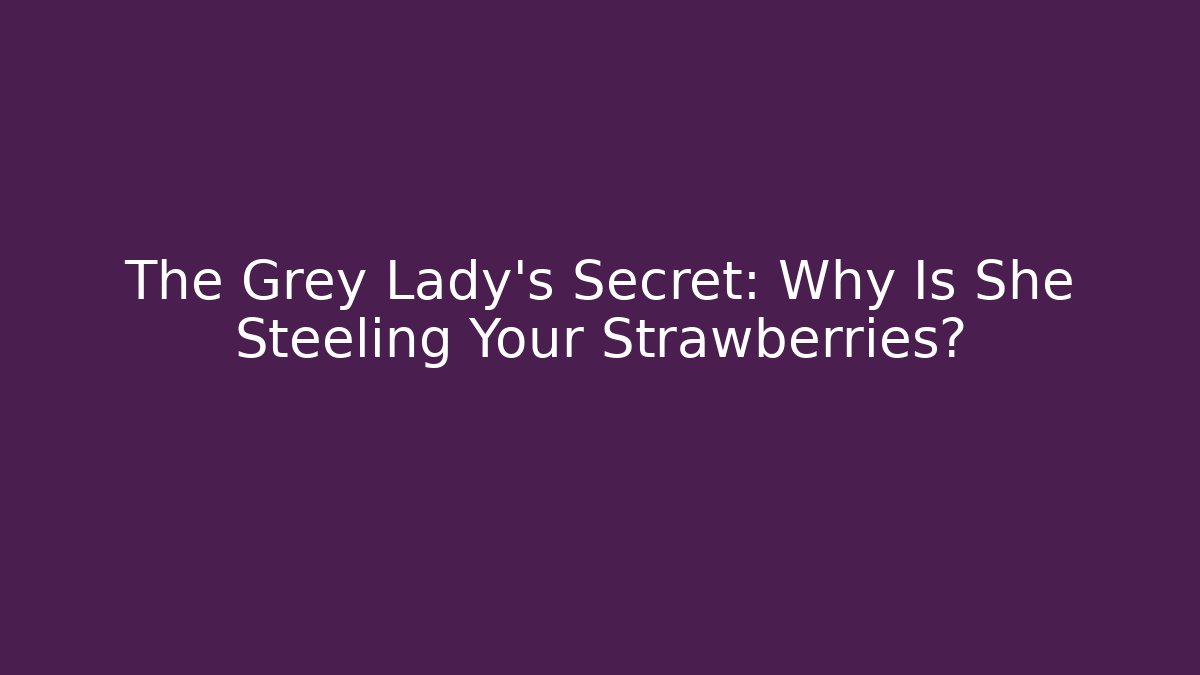The Grey Lady's Secret: Why Is She Steeling Your Strawberries?