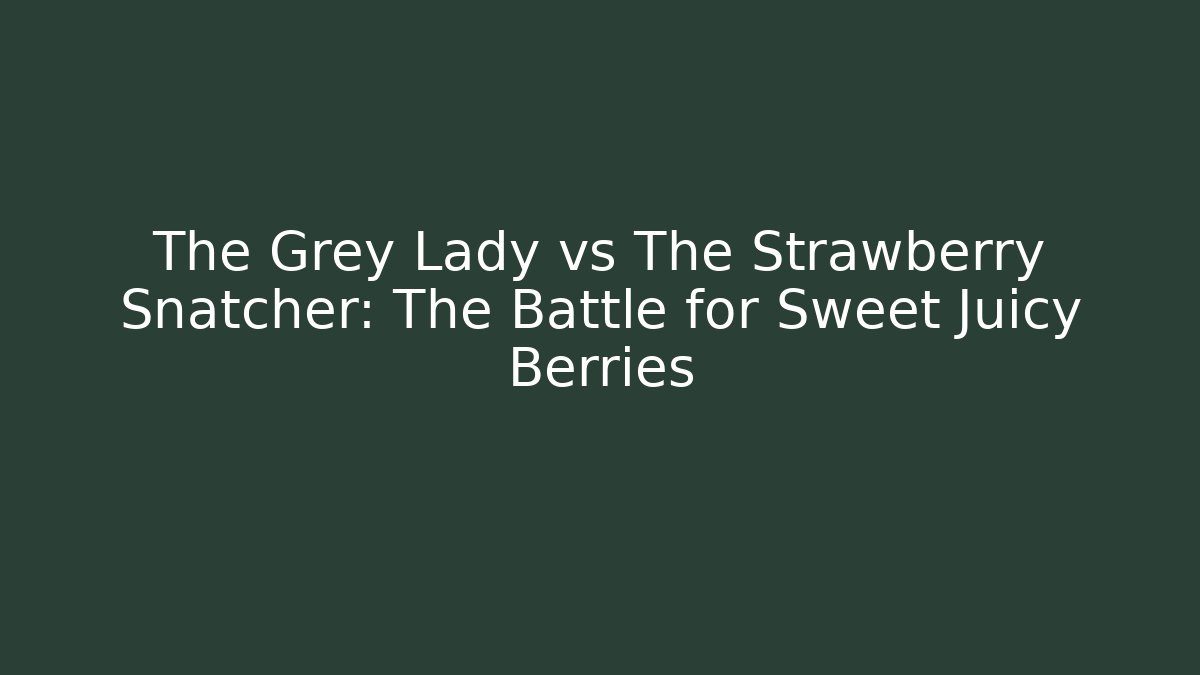 The Grey Lady vs The Strawberry Snatcher: The Battle for Sweet Juicy Berries - Vintage E-Juice