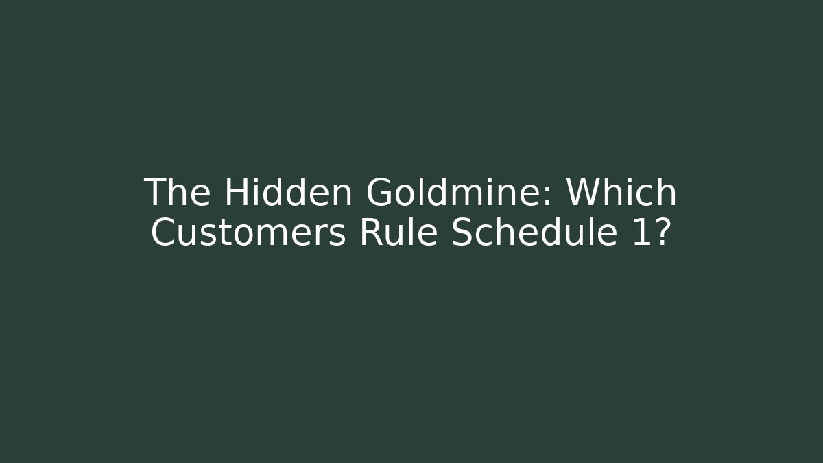 The Hidden Goldmine: Which Customers Rule Schedule 1?
