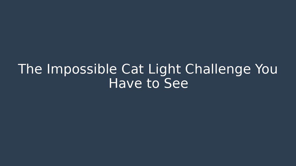 The Impossible Cat Light Challenge You Have to See