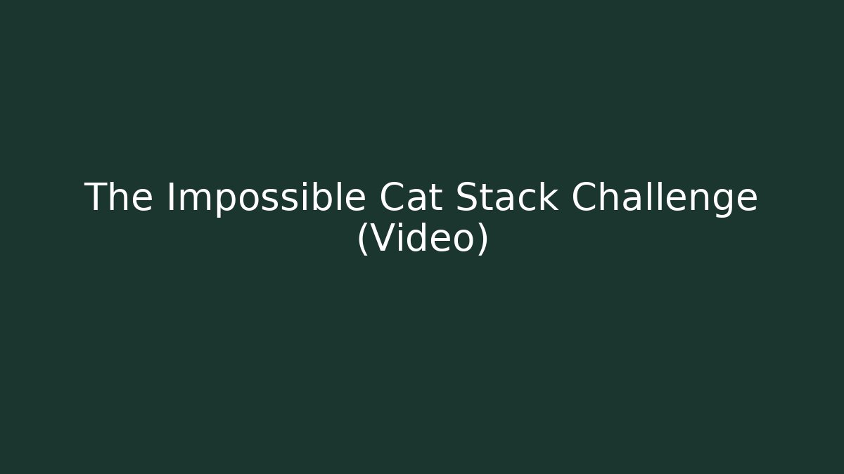 The Impossible Cat Stack Challenge (Video) - Vintage E-Juice