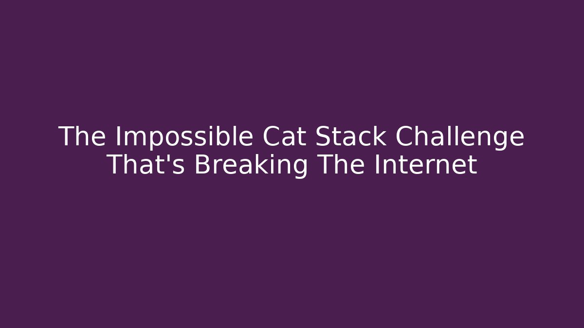 The Impossible Cat Stack Challenge That's Breaking The Internet - Vintage E-Juice