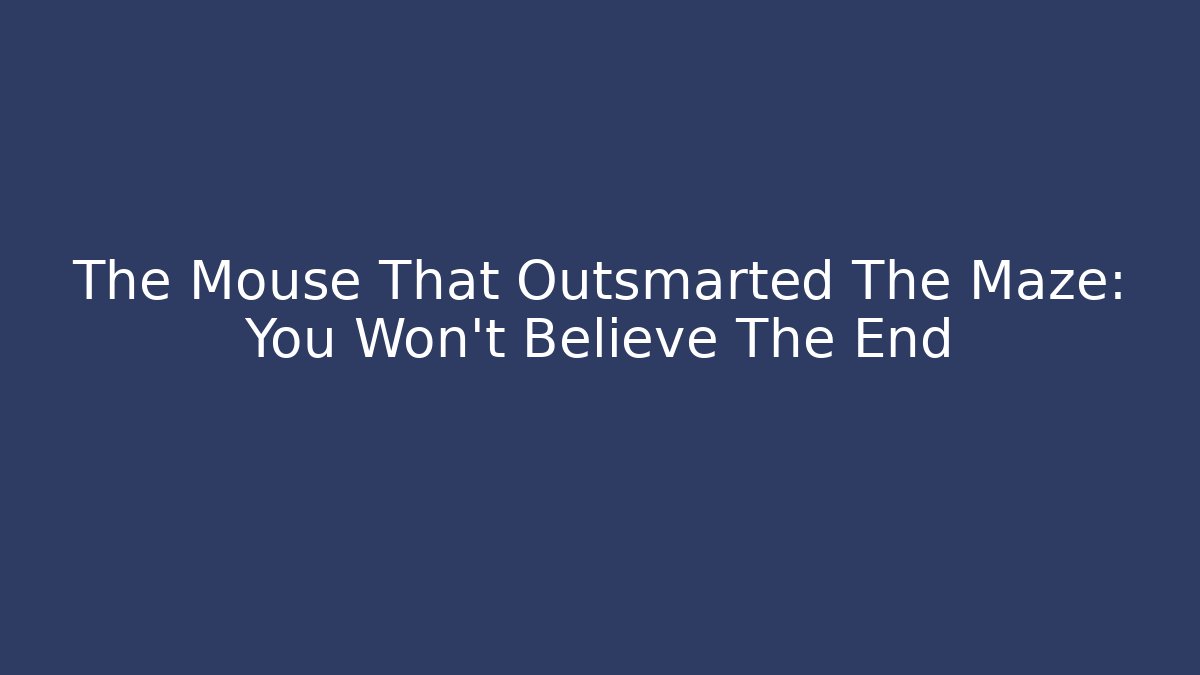 The Mouse That Outsmarted The Maze: You Won't Believe The End