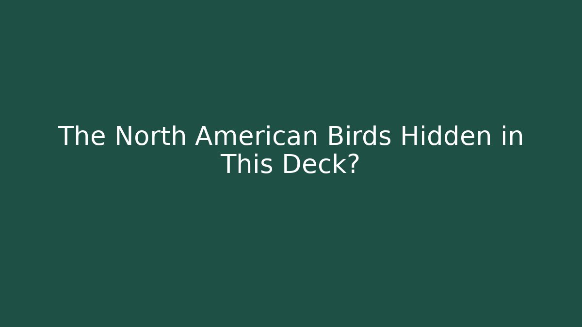 The North American Birds Hidden in This Deck?