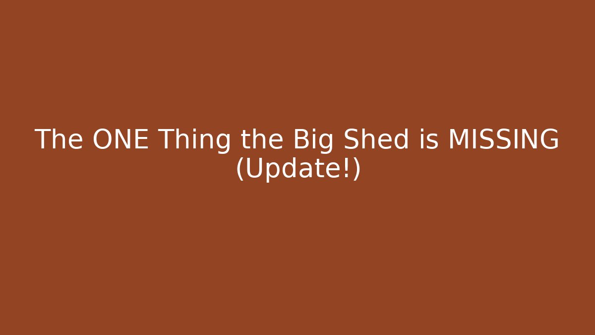 The ONE Thing the Big Shed is MISSING (Update!)