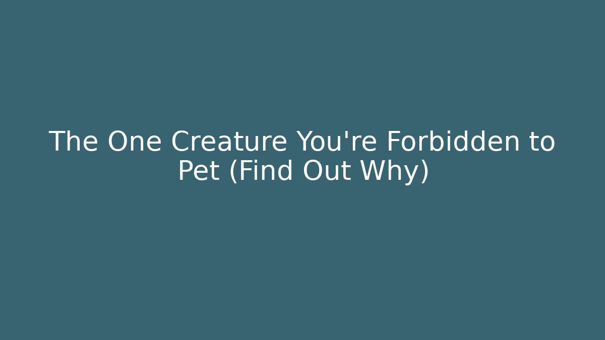 The One Creature You're Forbidden to Pet (Find Out Why)