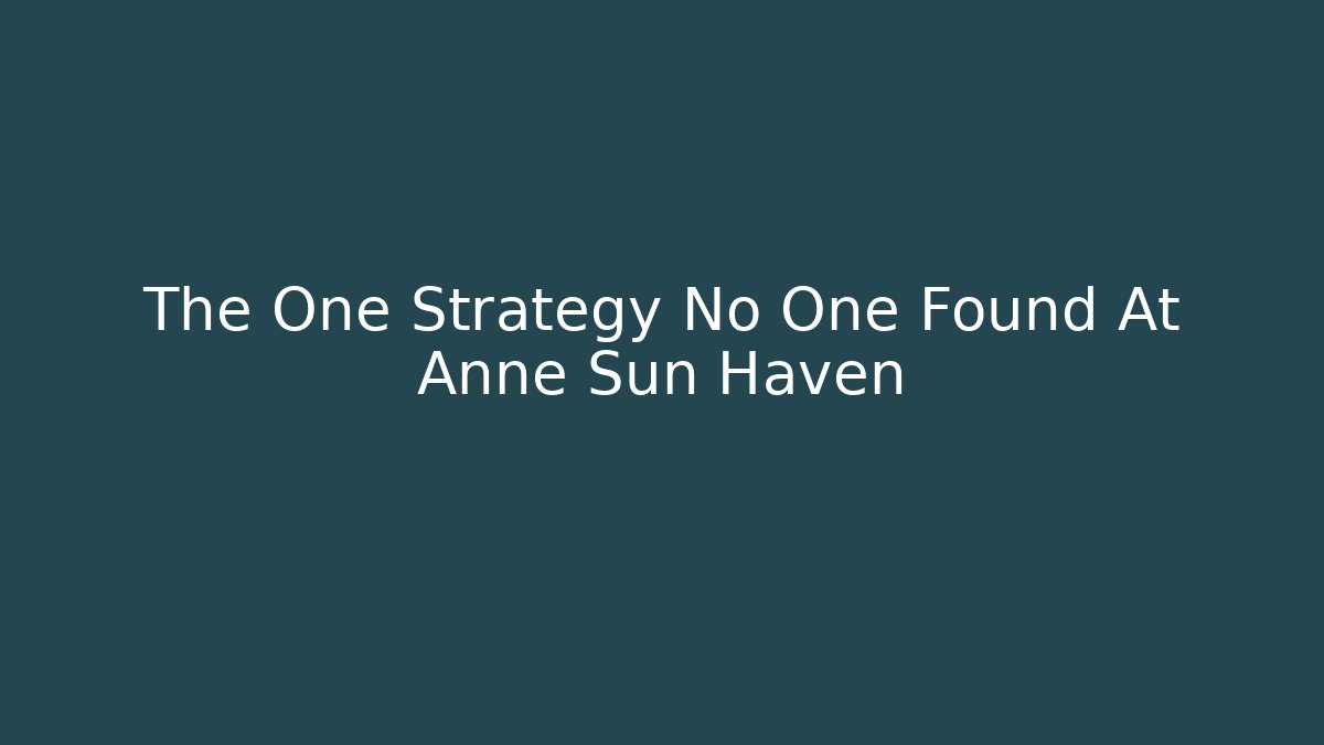 The One Strategy No One Found At Anne Sun Haven