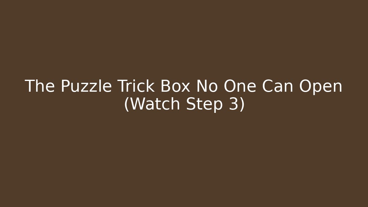 The Puzzle Trick Box No One Can Open (Watch Step 3)