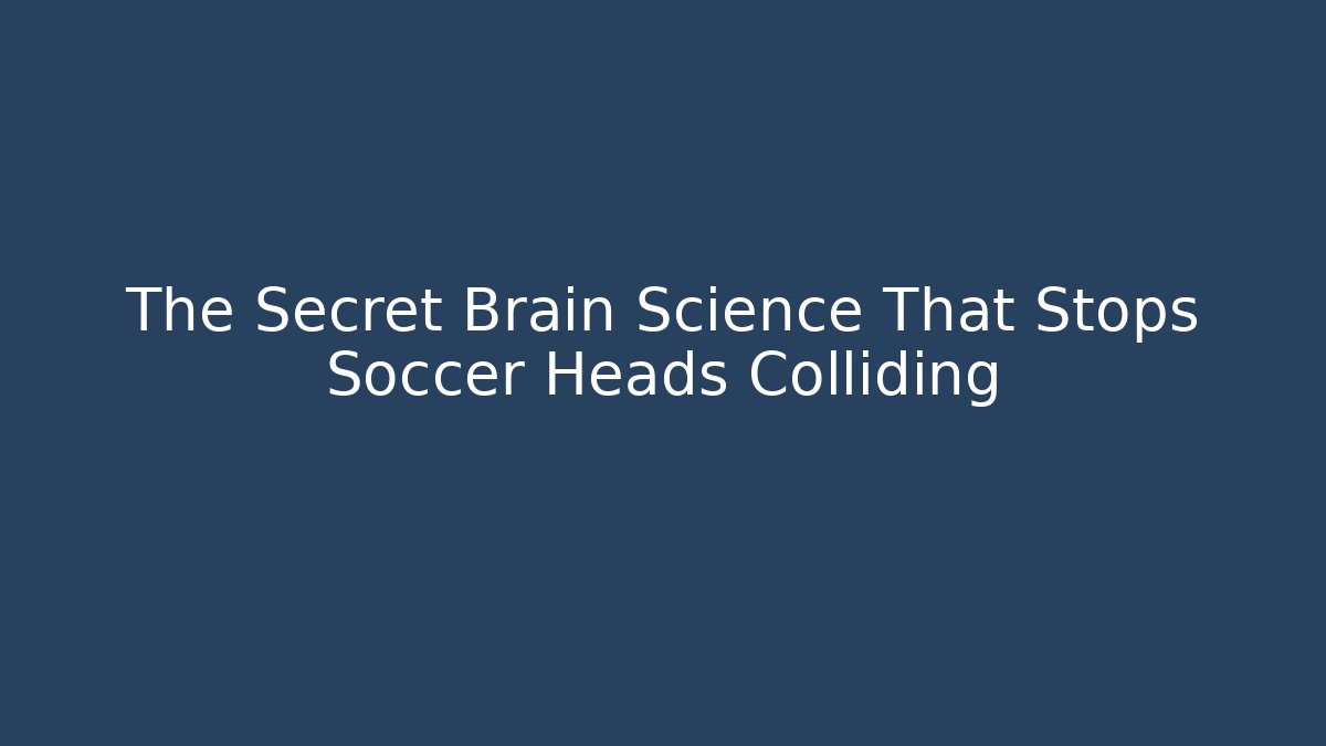 The Secret Brain Science That Stops Soccer Heads Colliding - Vintage E-Juice