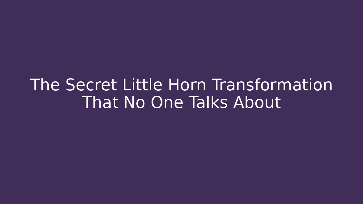The Secret Little Horn Transformation That No One Talks About