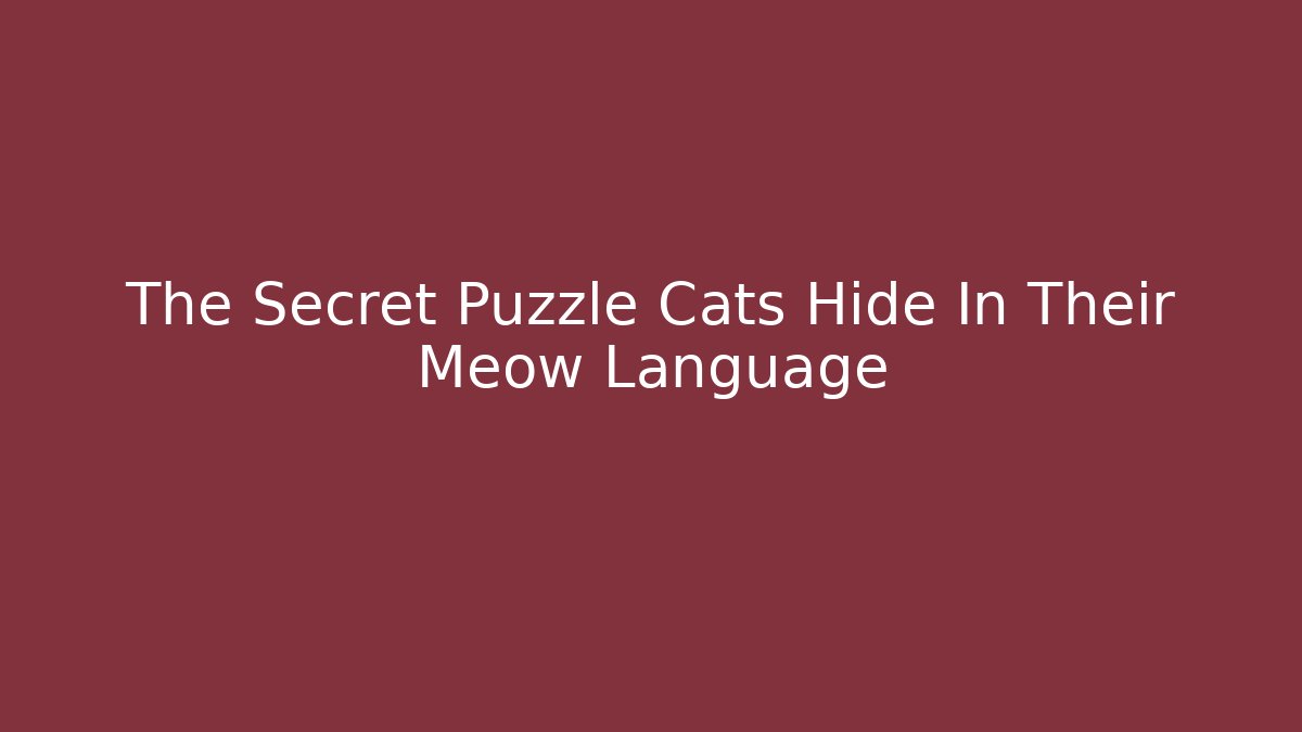 The Secret Puzzle Cats Hide In Their Meow Language