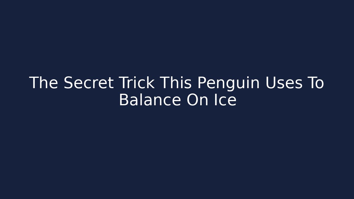 The Secret Trick This Penguin Uses To Balance On Ice