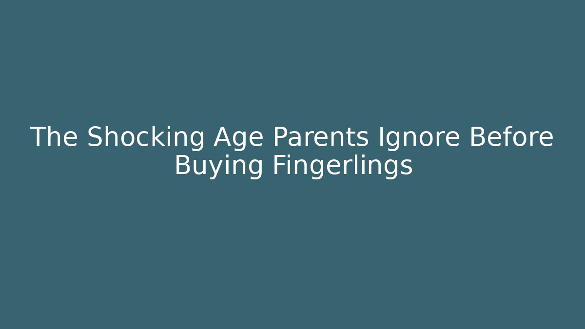 The Shocking Age Parents Ignore Before Buying Fingerlings