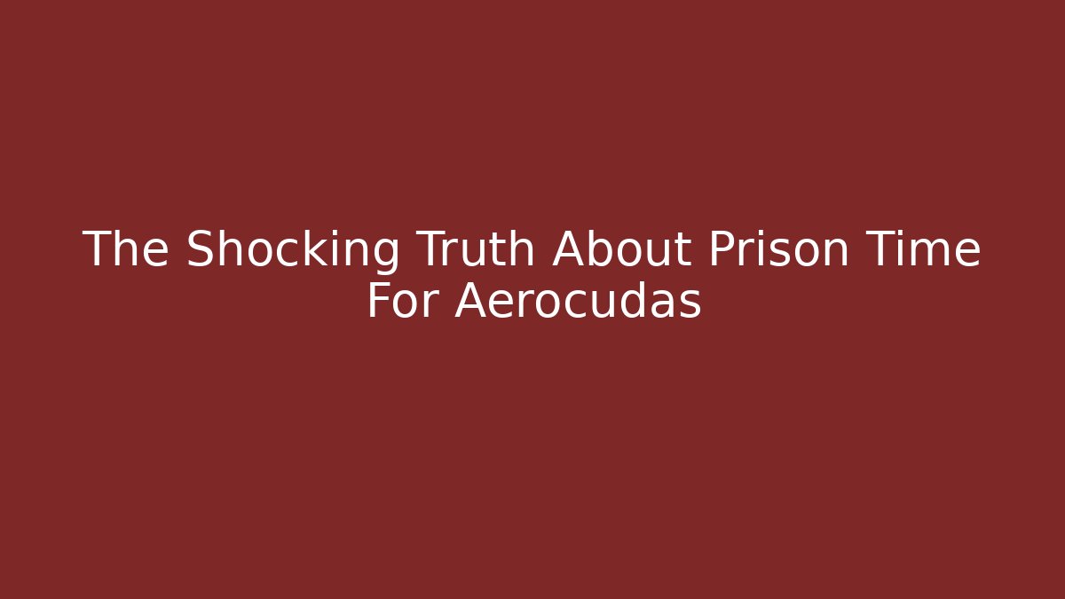 The Shocking Truth About Prison Time For Aerocudas