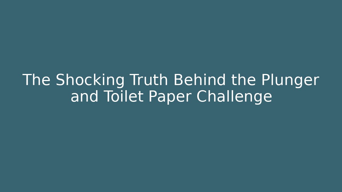 The Shocking Truth Behind the Plunger and Toilet Paper Challenge