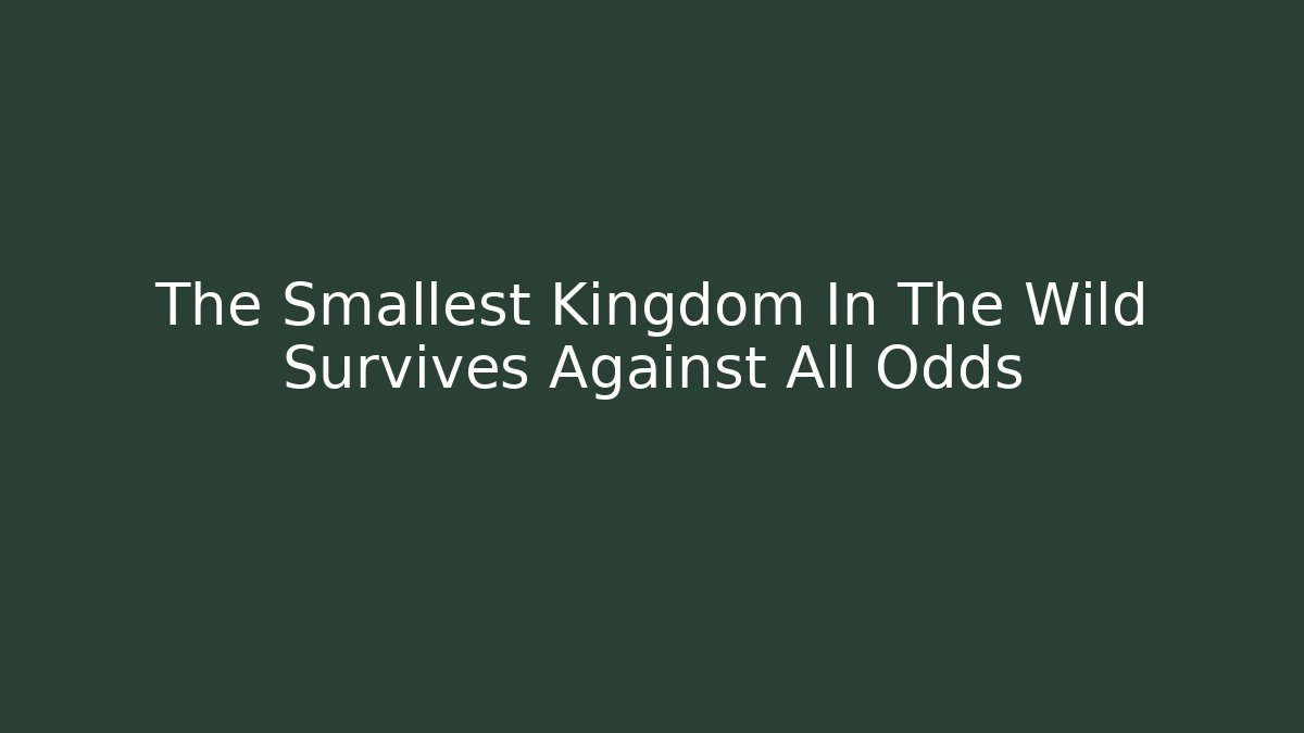 The Smallest Kingdom In The Wild Survives Against All Odds
